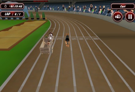 Crazy Dog Racing Fever / Гонка сумасшедших собак