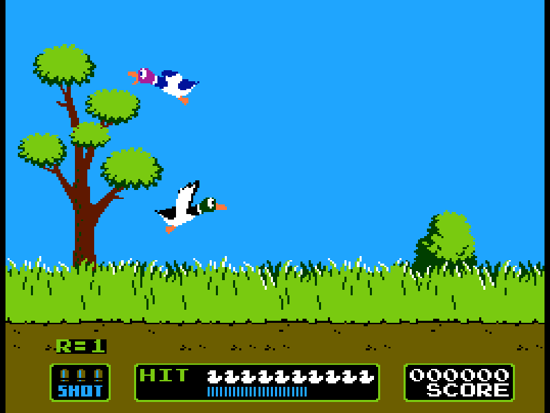 Duck Hunt / बतख शिकार
